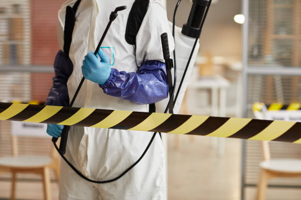 Professional Odor Removal technician working in Smithton, IL