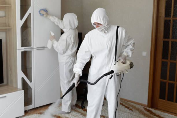 24/7 Emergency Odor Removal experts in Smithton, IL